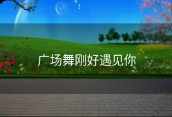 广场舞刚好遇见你