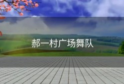 郝一村广场舞队