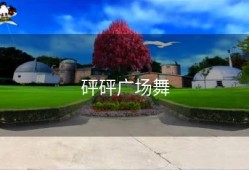 砰砰广场舞