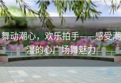 舞动潮心，欢乐拍手——感受潮湿的心广场舞魅力