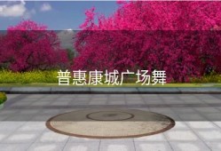 普惠康城广场舞