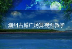 潮州古城广场舞视频教学