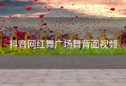 抖音网红舞广场舞背面视频