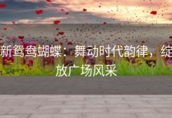 新鸳鸯蝴蝶：舞动时代韵律，绽放广场风采