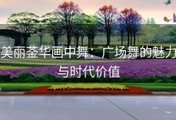 美丽菳华画中舞：广场舞的魅力与时代价值