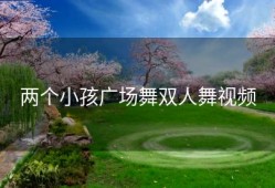 两个小孩广场舞双人舞视频