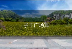子干广场舞