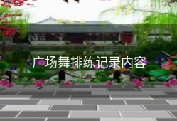 广场舞排练记录内容
