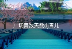 广场舞数天数dj青儿