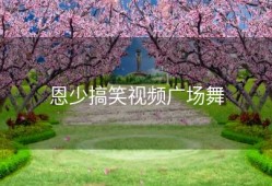 恩少搞笑视频广场舞