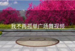 我不再孤单广场舞视频