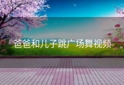 爸爸和儿子跳广场舞视频