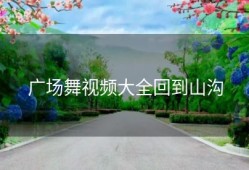 广场舞视频大全回到山沟