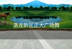 洛龙新区正大广场舞