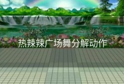 热辣辣广场舞分解动作