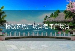 播放农历广场舞老年广场舞