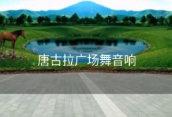 唐古拉广场舞音响