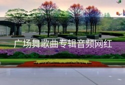 广场舞歌曲专辑音频网红