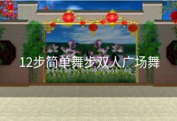 12步简单舞步双人广场舞