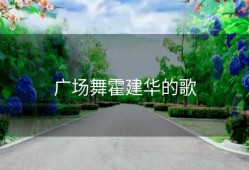 广场舞霍建华的歌