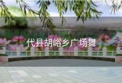 代县胡峪乡广场舞