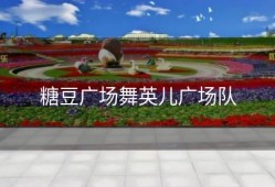 糖豆广场舞英儿广场队