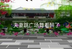 夫妻跳广场舞看醉了