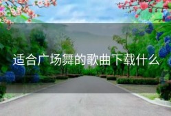 适合广场舞的歌曲下载什么