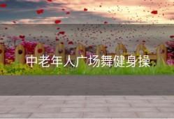 中老年人广场舞健身操