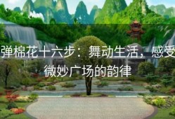 弹棉花十六步：舞动生活，感受微妙广场的韵律