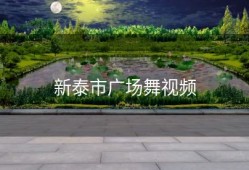 新泰市广场舞视频