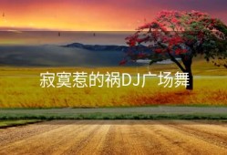 寂寞惹的祸DJ广场舞