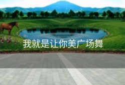 我就是让你美广场舞