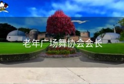 老年广场舞协会会长