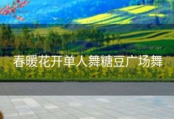 春暖花开单人舞糖豆广场舞
