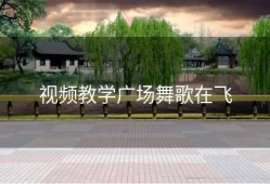 视频教学广场舞歌在飞