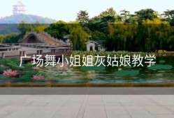 广场舞小姐姐灰姑娘教学
