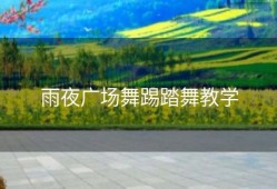 雨夜广场舞踢踏舞教学
