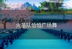 火苗队恰恰广场舞