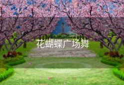 花蝴蝶广场舞