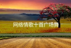 网络情歌十首广场舞
