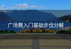 广场舞入门基础步伐分解