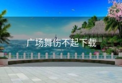 广场舞伤不起下载