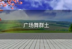 广场舞群土