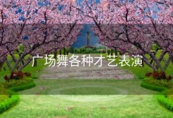 广场舞各种才艺表演