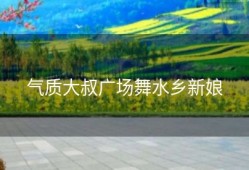 气质大叔广场舞水乡新娘