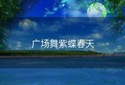 广场舞紫蝶春天