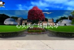 心头肉广场舞风琴