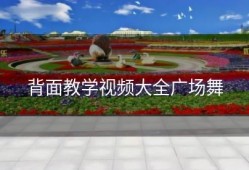 背面教学视频大全广场舞