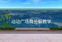 动动广场舞分解教学